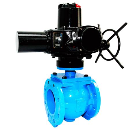 Cast Iron Manual Pneumatic Electric Gearbox Operated Flange Eccentric