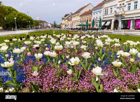 Centre of Koprivnica town in Croatia Stock Photo - Alamy