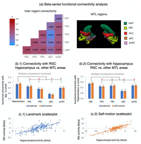 Figure S4 Functional Connectivity Between Retrosplenial Cortex And