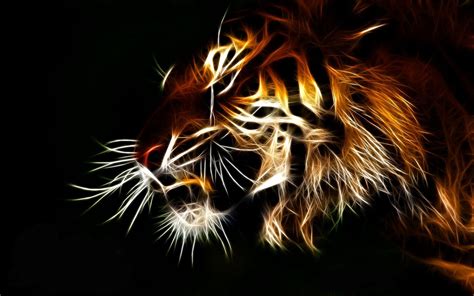 Neon Animal Wallpapers - Top Free Neon Animal Backgrounds - WallpaperAccess