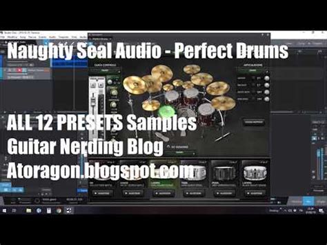 Atoragon S Guitar Nerding Blog Review Naughty Seal Audio Perfect