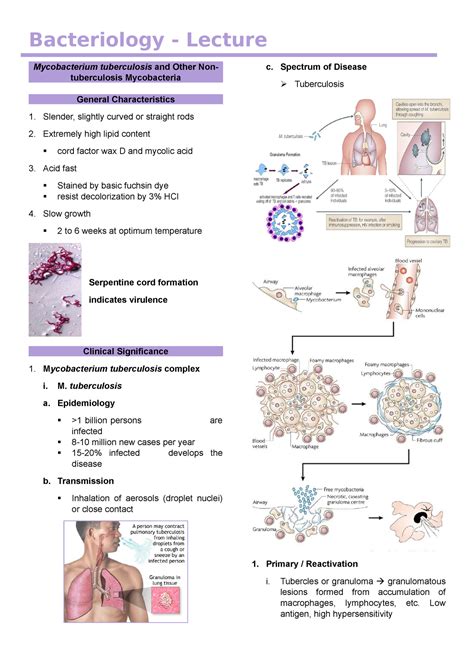 Mycobacterium Tuberculosis Bacteriology Lecture Mycobacterium