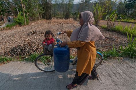 Bmkg Prediksi Kekeringan Akibat El Nino Baru Berakhir Maret