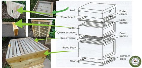 Modern bee farming(how the cab hive works) | KAAA