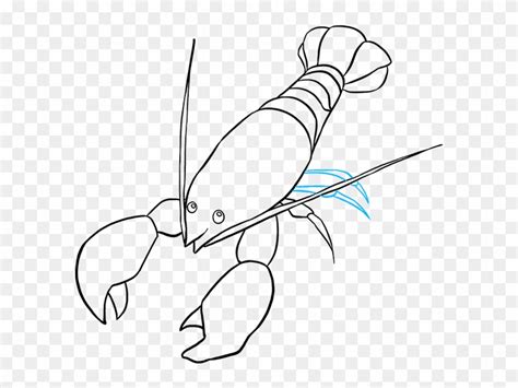 Download How To Draw Drawings Of Yabbies Clipart Png Download Pikpng