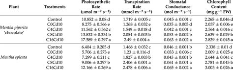 Effect Of Biochar On Gas Exchange Parameters And Chlorophyll Content Of