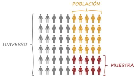 Población Y Muestra En Una Investigación Del Universo