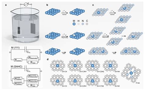 Catalysts Free Full Text Hydrogen Evolution Reaction From Single