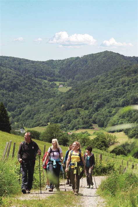 Freizeitjournal Mostviertel Bezirk Lilienfeld Der Muckenkogel