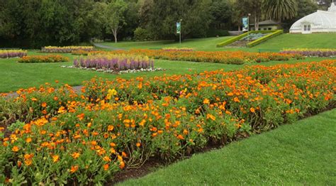 Best Places To See Spring Flowers In San Francisco - CBS San Francisco