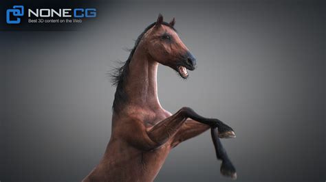 Nonecg 3d Models Animated 3d Horses 3dsmax