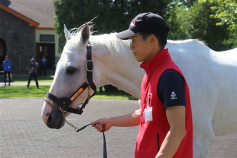 【募集予想】ラフィアンターフマンクラブ 2021年募集馬の適当予想 ビッグレッドファーム生産馬 馬主にゅーす