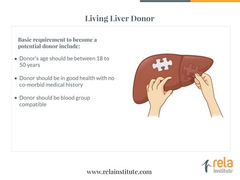 Living Donor Liver Transplantation In Chennai Dr Rela Institute