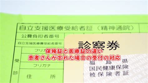 保険証の種類について。医療保障制度のしくみから知ろう！