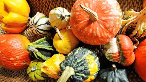 Genetic Diversity In Farming In Kenya Agriculture Kenya