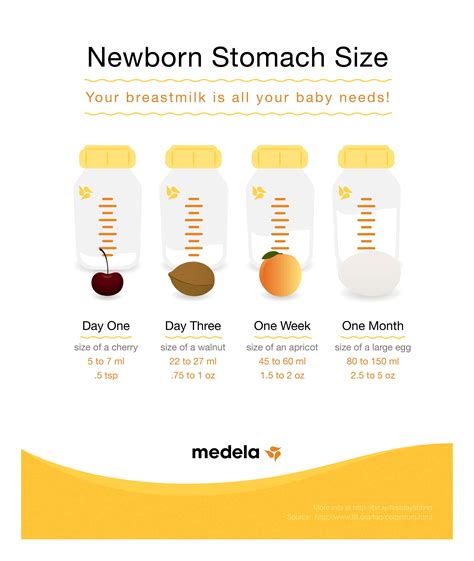 Infant Stomach Size Chart