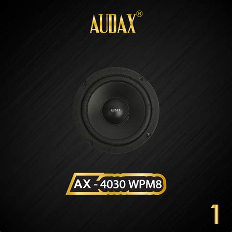 Jual Audax Speaker Audax Ax Wpm Woofer Shopee Indonesia