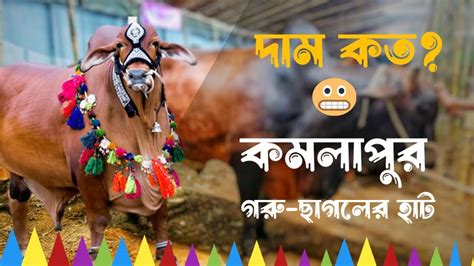 সস্তায় গরু কিনুন কমলাপুর গরুর হাট থেকে। ৫০ ৫৫ ৬০ ৬৫ ৭৫ হাজার