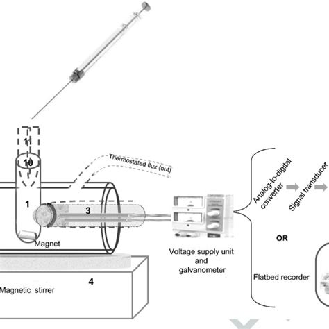 PDF Evaluation Of Respiration With Clark Type Electrode In Isolated