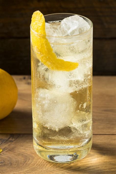 20 Classic Highball Cocktails To Try Insanely Good