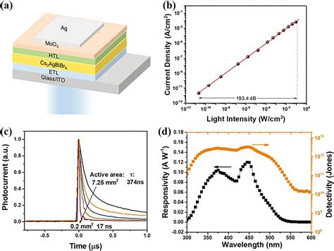 Lead Free Halide Perovskite Photodetectors Spanning From Near Infrared