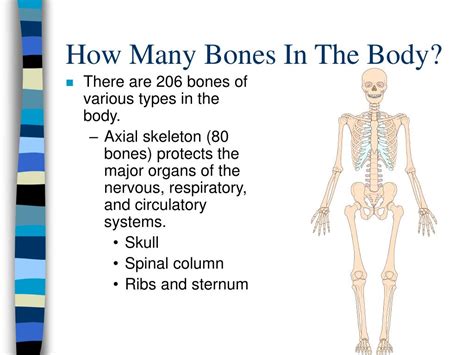 Ppt Chapter 3 Powerpoint Presentation Free Download Id6664726