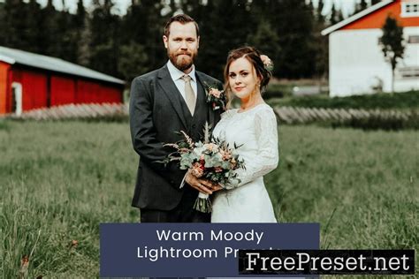 Warm Moody Lightroom Presets U42HD3Q