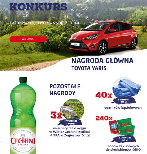 Loteria Cechini Muszyna W Dino Zgarniajto Pl