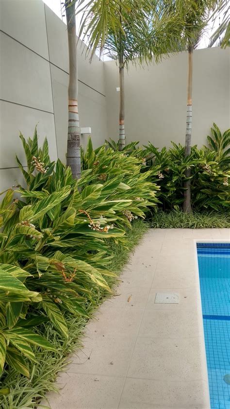 An Empty Swimming Pool Surrounded By Palm Trees And Greenery On The