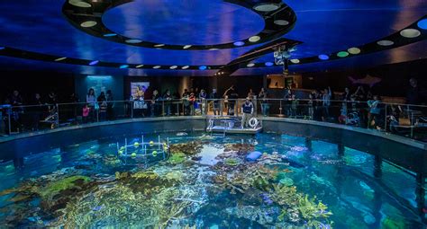 Giant Ocean Tank - New England Aquarium