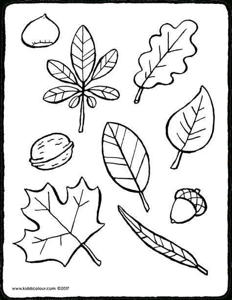 Herbstblätter Malvorlagen kinderbilder download kinderbilder download