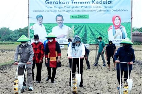 Dinilai Potensial Klaten Jadi Pionir Gerakan Tunas Bangkit Kedelai