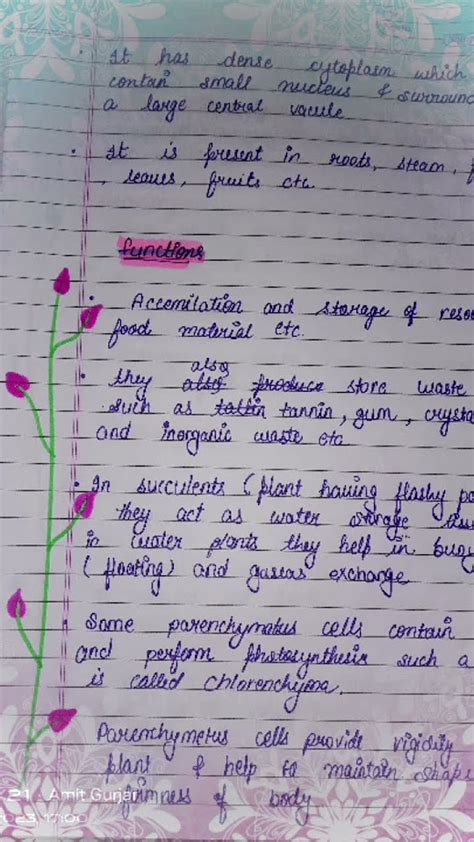 Class 9 Science Tissue Handwritten Notes Youtube