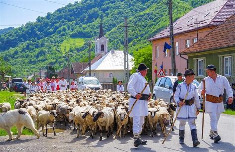 UNESCO Transhumanţa a fost inclusă în Lista reprezentativă a