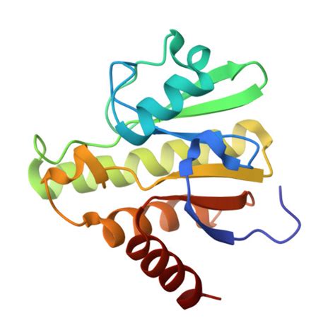 RCSB PDB 7H83 Group Deposition For Crystallographic Fragment