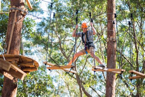 Canberra Majura Pines Tree Ropes Course Getyourguide