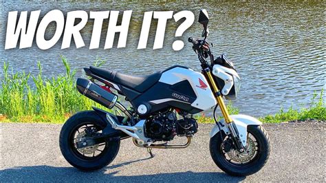 First Ride On A Honda Grom Should I FINALLY Buy One YouTube