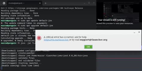 friend trying to install tlauncher on chromebook, critical error : r ...