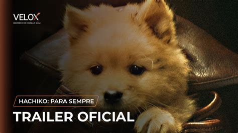 Hachiko Para Sempre Trailer Oficial Youtube