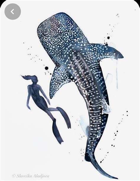 Tiburon Ballena Shark Painting Whale Shark Whale Shark Tattoo