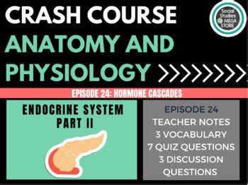 Endocrine System Part Hormone Cascades Crash Course A P