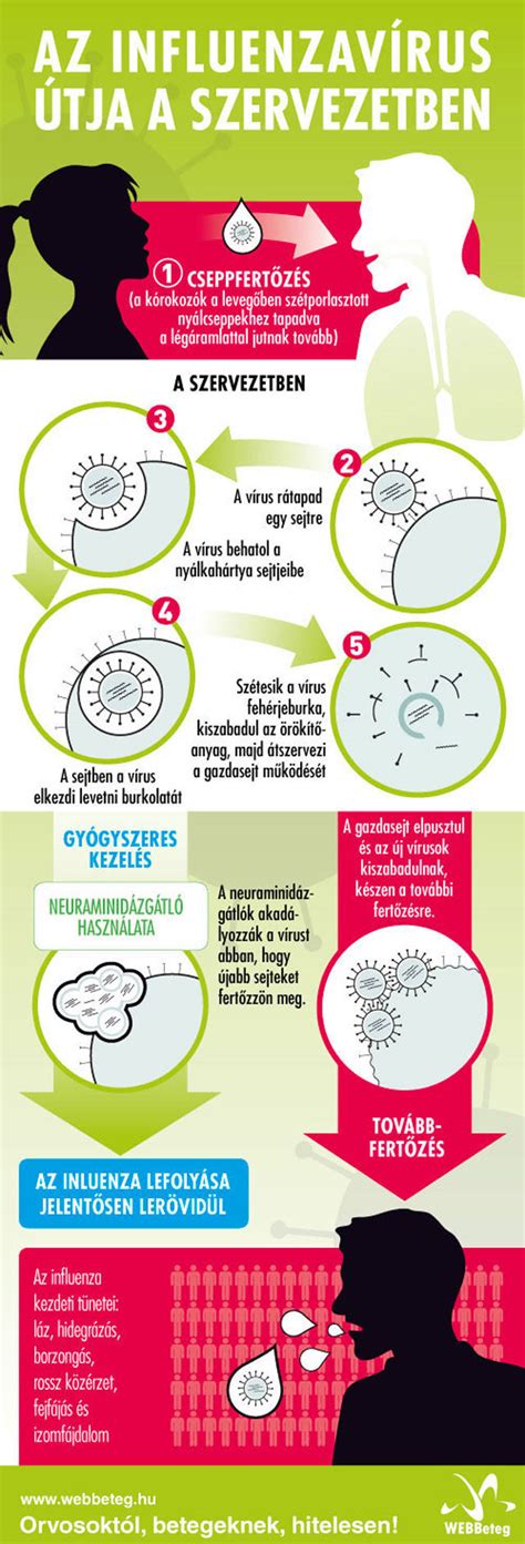 Így terjed az influenza Médiatár WEBBeteg