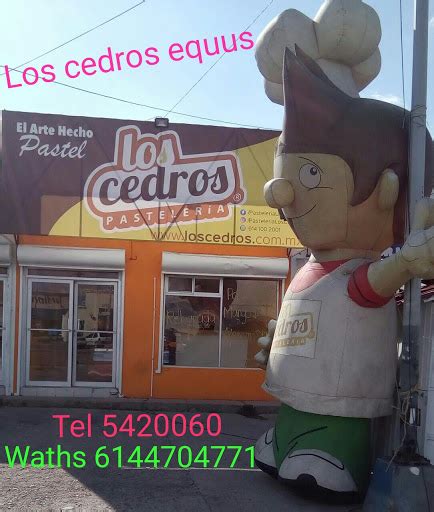 Pasteleria Los Cedros Equus En Chihuahua Número De Teléfono Reservas