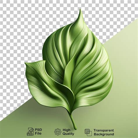 Folhas Verdes Planta Arbusto Floral Isolado Em Fundo Transparente Psd