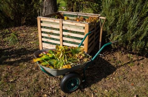 Feuilles mortes ne les jetez plus réutilisez les Voici comment avec