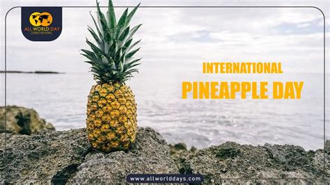 International Pineapple Day 2024 Theme Archives National And International Important Days