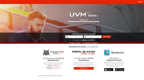 Plataforma Blackboard UVM Todo lo que necesitas saber Edu México OnLine