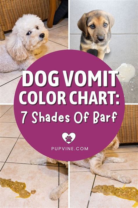 Dog Vomit Color Chart: 7 Shades Of Barf | Dogs, Vomit, Color chart