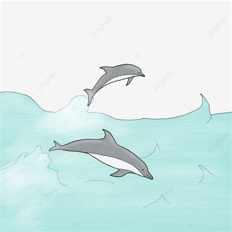 Dolphin Jumping On The Surface Dolphin Ocean Play PNG Transparent