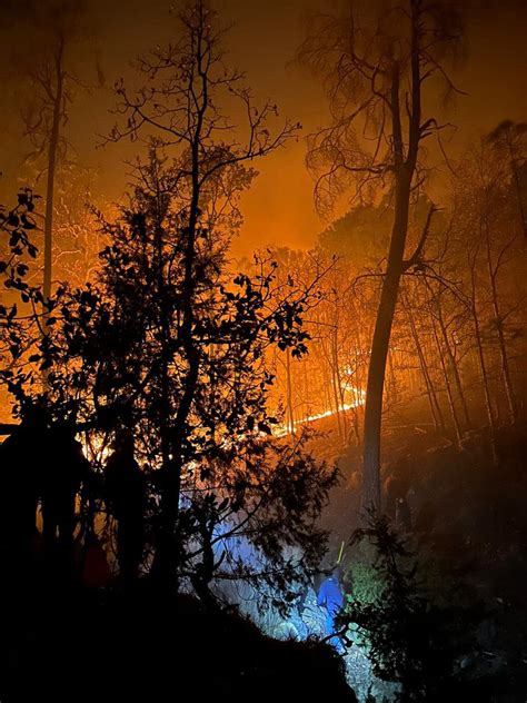 Alerta en Valparaíso por nuevo incendio NTR Zacatecas